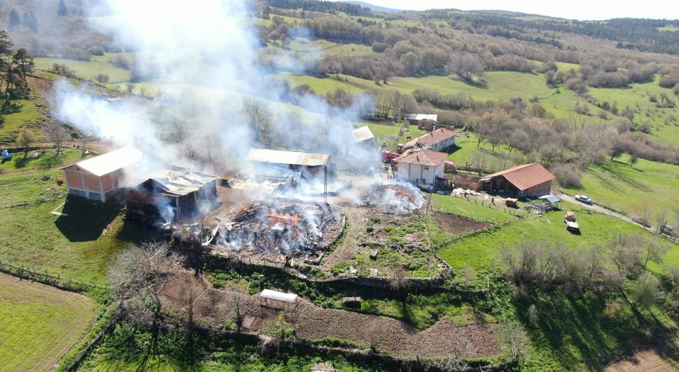 Elektrik panosu patladı: 3 ev ve 3 ahır küle döndü