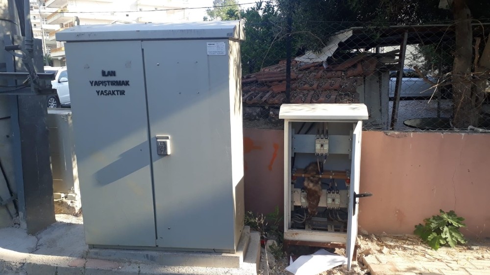 Elektrik panosuna giren sansar akıma kapılıp telef oldu 