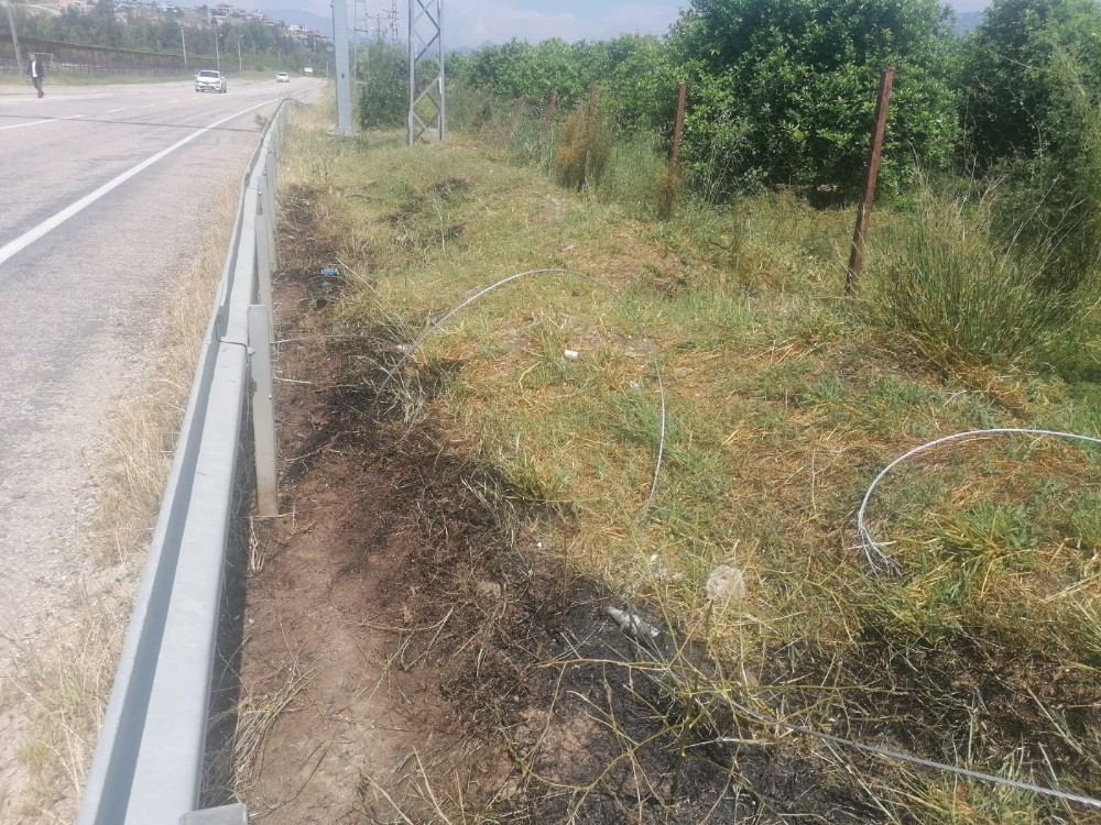 Elektrik teline konan kuş yangın çıkardı 