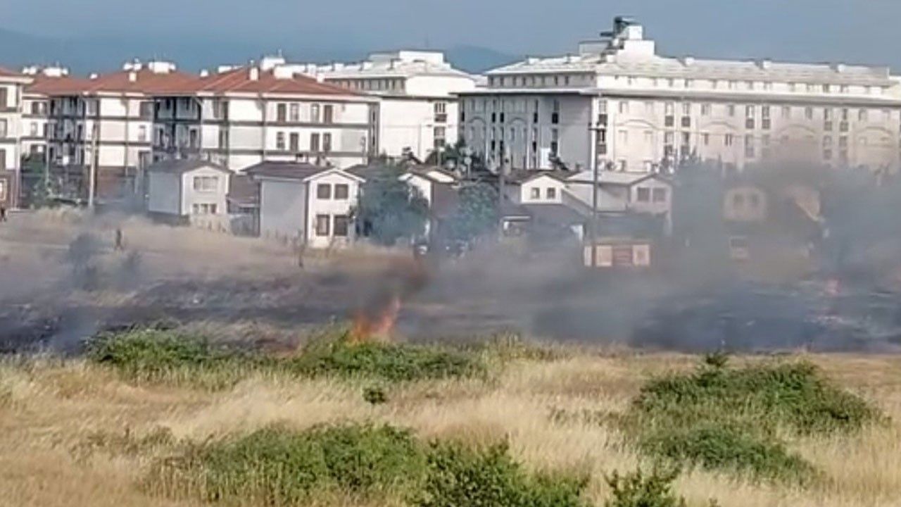 Elektrik tellerine kuş çarptı, 4 dönüm alan kül oldu