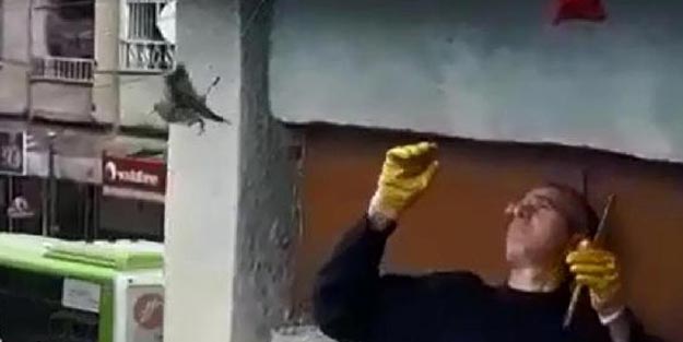 Elektrik trafosuna asılı kalan kumruyu itfaiye kurtardı