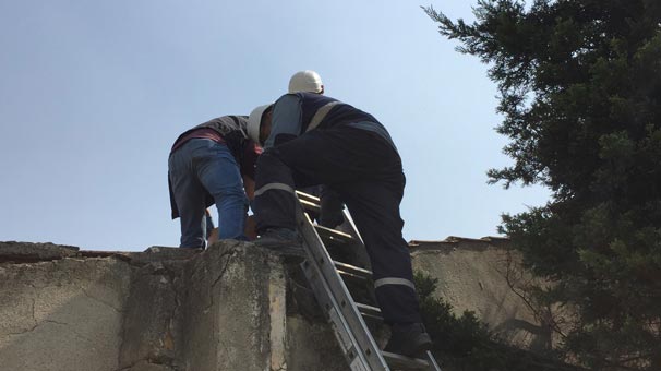 Elektrik trafosuna giren hırsız, bakın nasıl can verdi