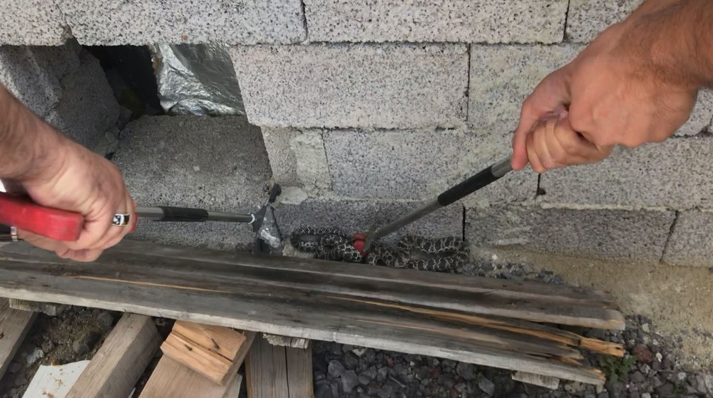 Elektrik üretim tesisindeki yılanı itfaiye yakalayıp doğaya bıraktı 