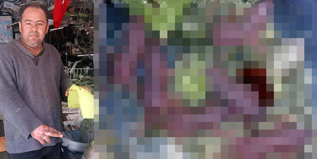 Elektrikli süpürgeden öyle bir şey çıktı ki… Tamirci şoke oldu!