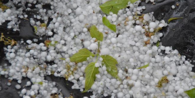 Bursa’da şiddetli yağmur ve dolu şoku