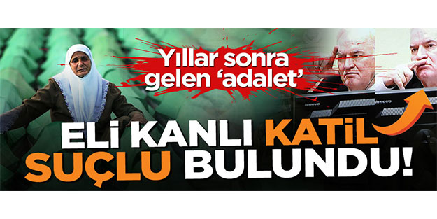 'Bosna Kasabı' katil Mladic için karar çıktı