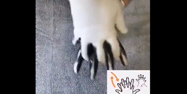 Elimizi yanlış mı yıkıyoruz? El hijyeni için çarpıcı video