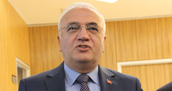 Elitaş, dokunulmazlıkların kaldırılmasını değerlendirdi