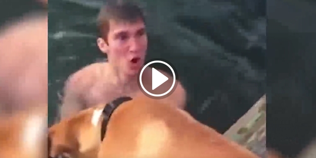 Eliyle köpek balığı yakaladı