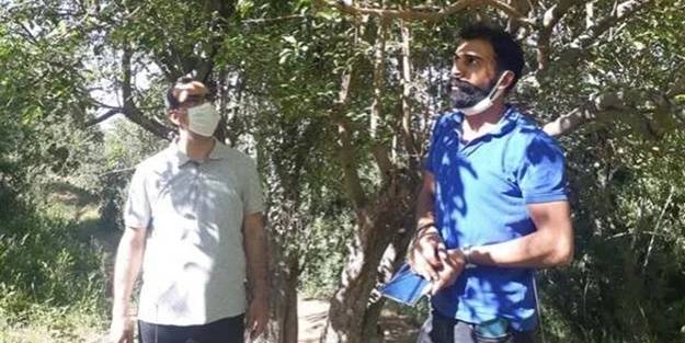 Elma ağacı 50 yıl sonra meyve verdi, herkes şaşkına döndü!