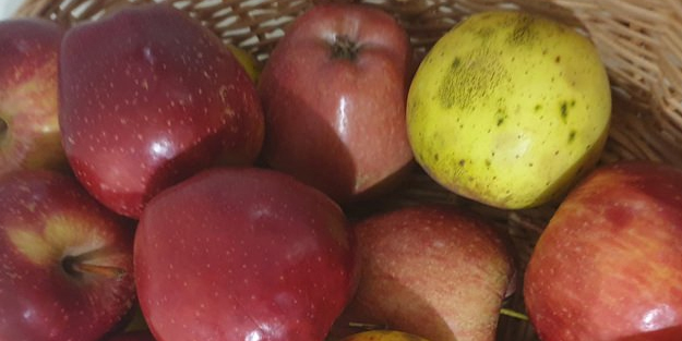 Elma sirkenizi kendiniz yapın! Doğa ürünü ile o derdiniz bırakın mazide kalsın! Peki nasıl yapılır? Püf noktası