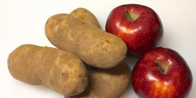 Elmayı patatesin yanına koyun bakın ne oluyor!