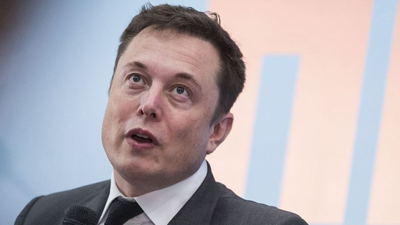 Elon Musk oldu Elon Tibuk: 'Her şey özelleştirilmeli'
