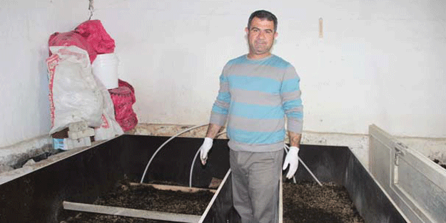 Emekli asker kiraladığı ahırda öyle bir şey yaptı ki.. Talebi karşılayamıyor