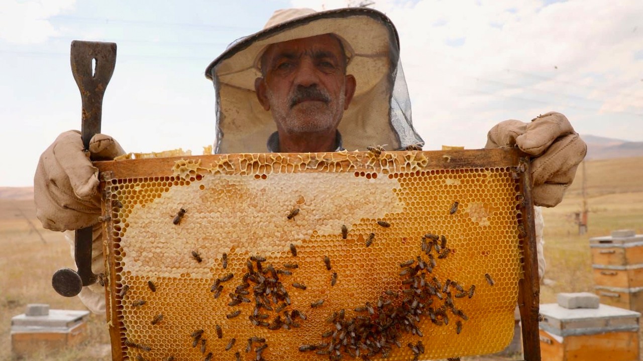 Emekli imamın doğayla iç içe 200 kovanlık bal üretimi!