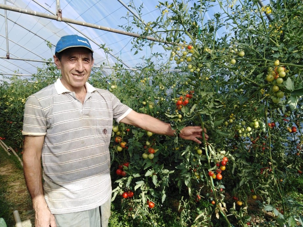 Emekli öğretmen, kurduğu serada organik ürün yetiştiriyor 