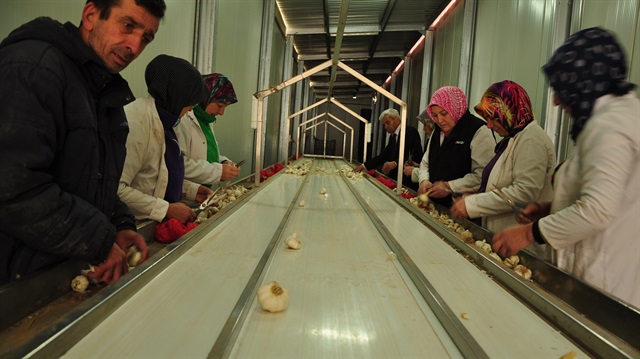 Emekli oldu fabrika kurdu