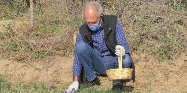 Emeklilikten sonra başladı, paraya para demedi! Kilosu 50 bin TL