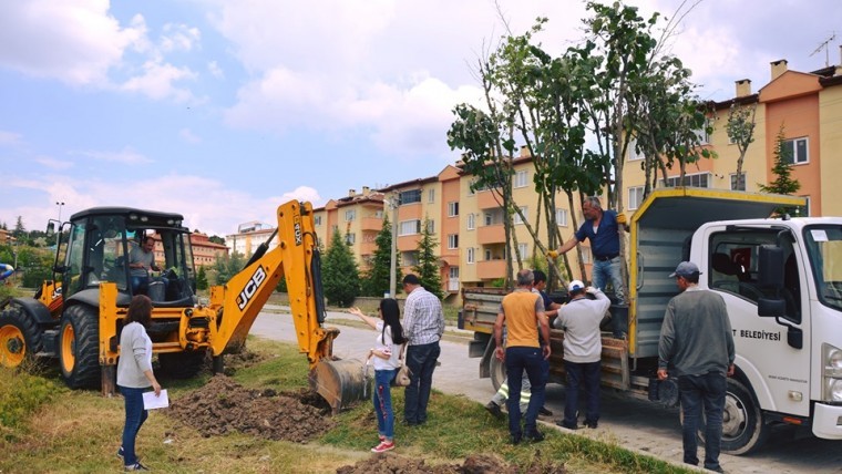 Emet Belediyesi’nden çevre düzenleme çalışmaları 