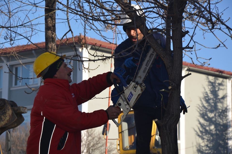 Emet’te yeşil alan seferberliği 
