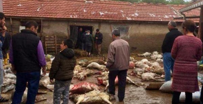 Emirdağ'da sel nedeniyle 68 küçükbaş hayvan telef oldu