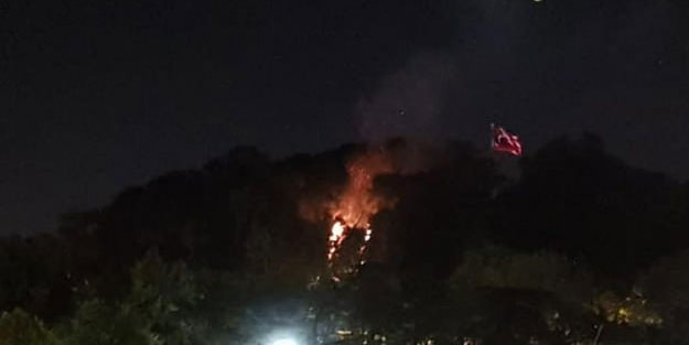 Emirgan Korusu'nda yangın