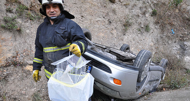 Emniyet kemeri kuşu bile kurtardı!