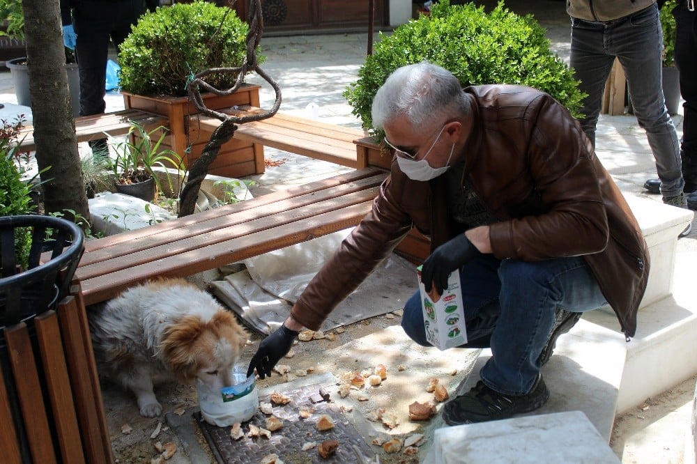 Emniyet müdürü aç kalan köpekleri elleriyle besledi 