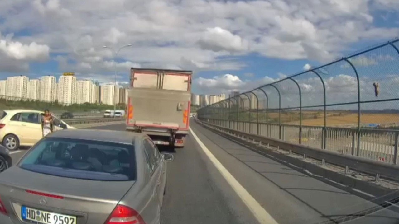 Emniyet şeridinde korku dolu anlar! Kediyi kurtarmak isterken canından oluyordu