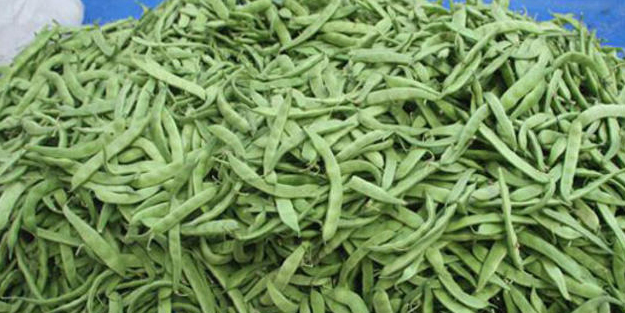 Emtia yatırımcısı soya fasulyesiyle kazandı