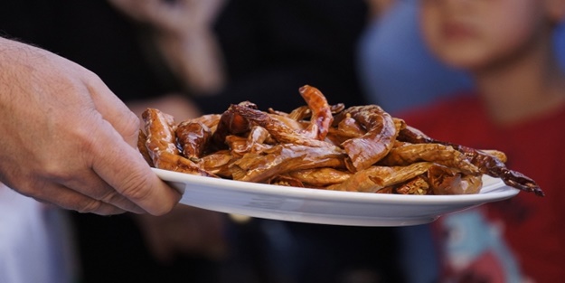 En 'acılı' yarışma!