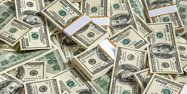 En çok dolar toplayan ilimiz belli oldu! Durmadan dolar alıyorlar