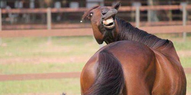 En çok paylaşılan ilginç kareler - FOTO