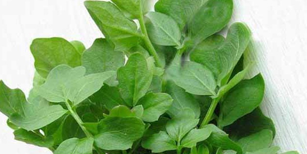 En faydalı sebze seçildi: en güçlü olduğu doğrulandı! Erkek ve kadın için yok artık dedirten fayda! Böyle olacak