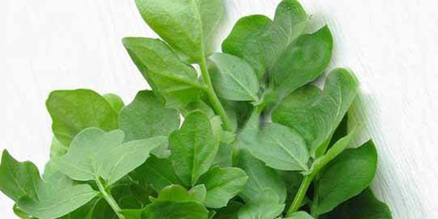 En faydalı sebze seçildi!