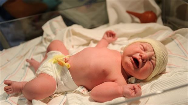 En fazla doğum yapan il Şanlıurfa