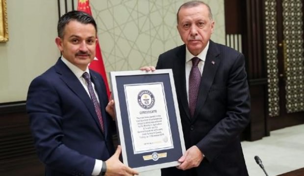 En fazla fidan dikme dünya rekoru belgesi Erdoğan'a verildi