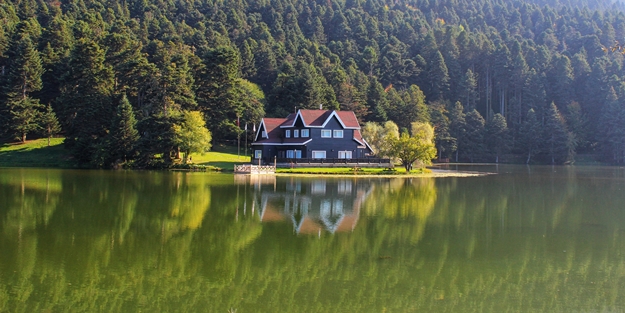 En fazla ormanlık alana sahip şehirler belli oldu