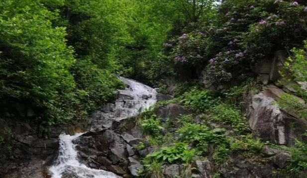En fazla yağış alan ilimizde halkı tasar