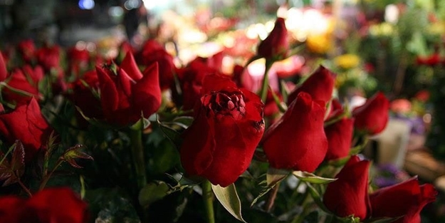 En güzel anneler günü hediyeleri