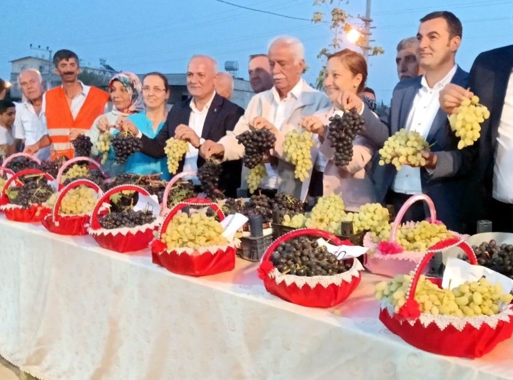 En güzel üzüm seçildi 