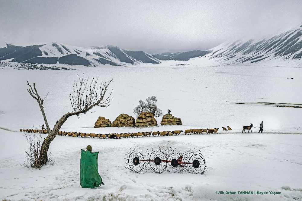 En iyi ‘tarım’ fotoğrafları 