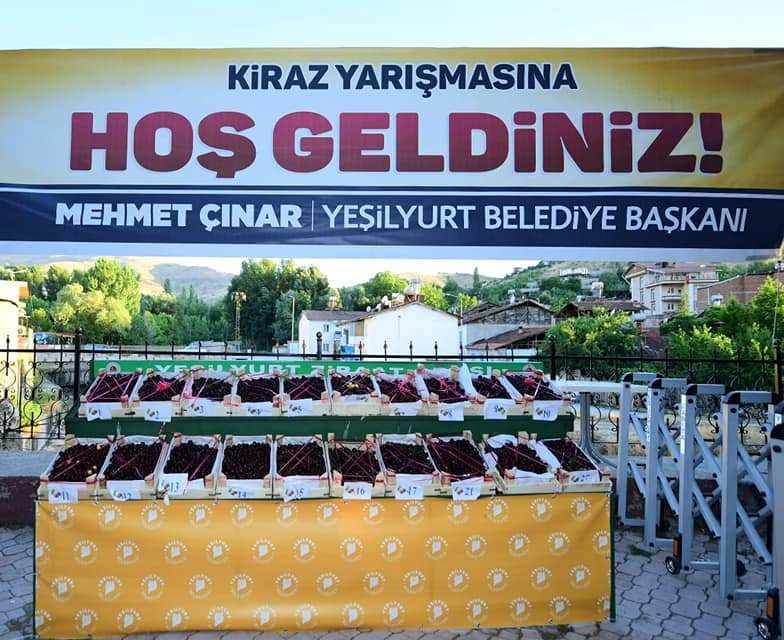 En iyi Yeşilyurt kirazı 21 Haziran’da belirlenecek 
