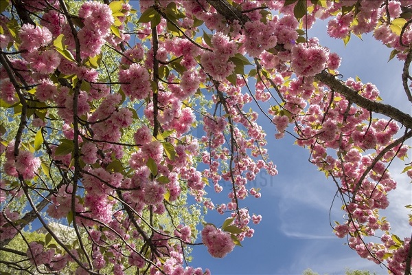 En sevdiğiniz mevsim kişiliğinizi ortaya koyuyor! Siz en çok hangi mevsimi seviyorsunuz?