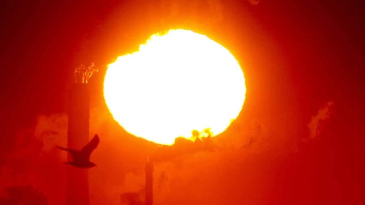 En sıcak yıl oldu! Avrupa alarm veriyor