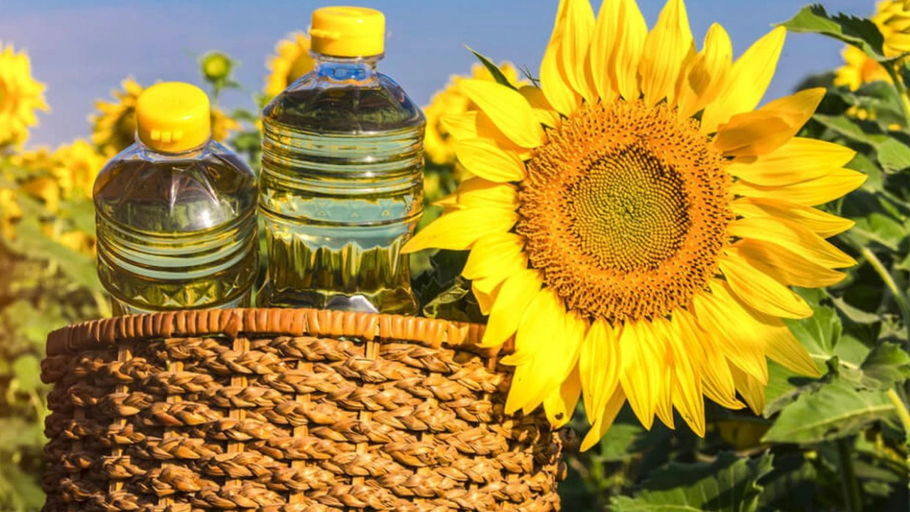 En ucuz ayçiçek yağı hangi markette? İşte güncel A101, BİM ve Şok ayçiçek yağı fiyat karşılaştırması
