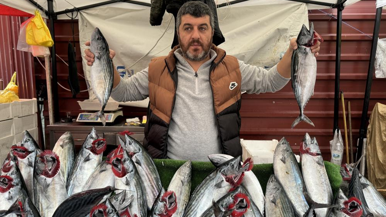En ucuz balık belli oldu!