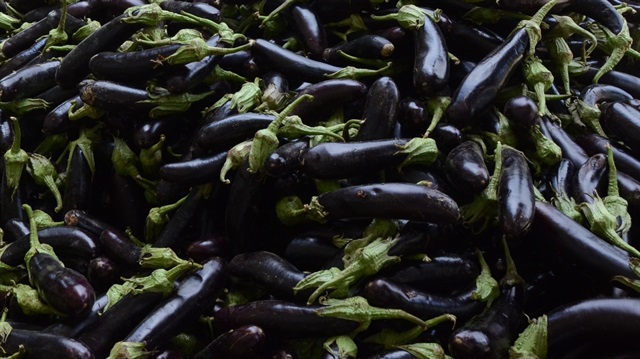 En ucuzu patlıcan oldu