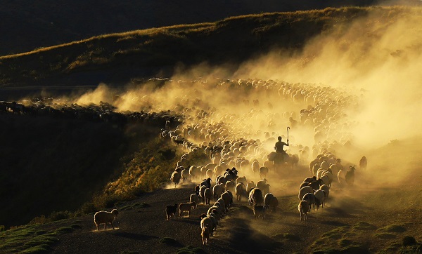 En zorlu göç yolculuğu!