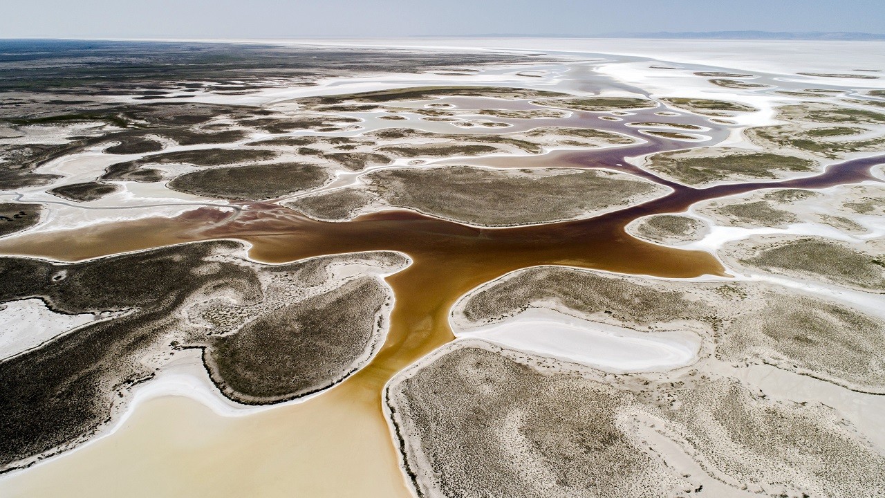 Endemik bitki türleri böyle korunacak